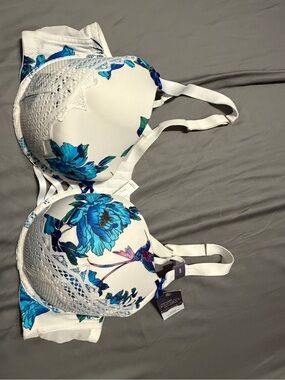Lane bryant seriously sexy
